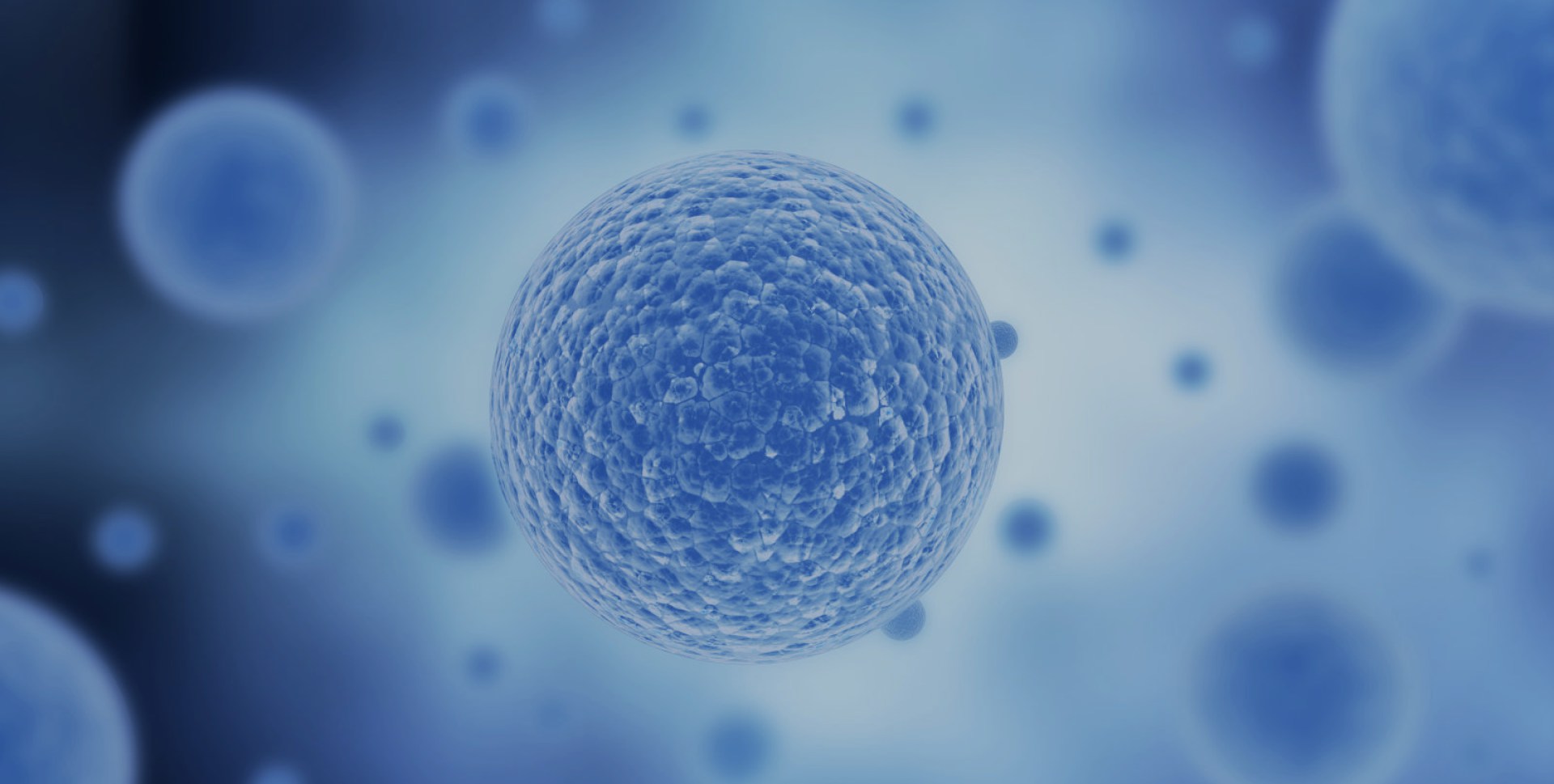 東富龍科技集團(tuán)股份有限公司